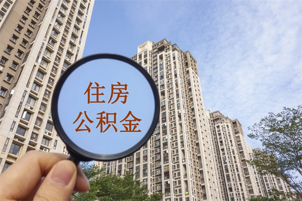 金华深圳公积金（深圳公积金首页）